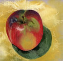 Red Apple Study #1, pastel by Barbara Strelke