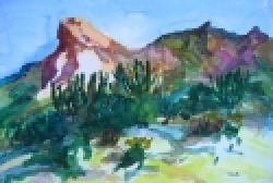 gallery/desierto-resized_sonoran-mtn-view-sancarlos