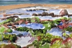 gallery/desierto-resized_Tidepools-PuertoPenasco