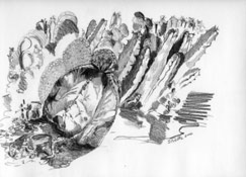 gallery/images-artwork-Still_Life-CactusGarden4-sm