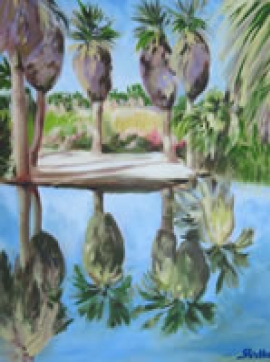 Palms at Agua Caliente